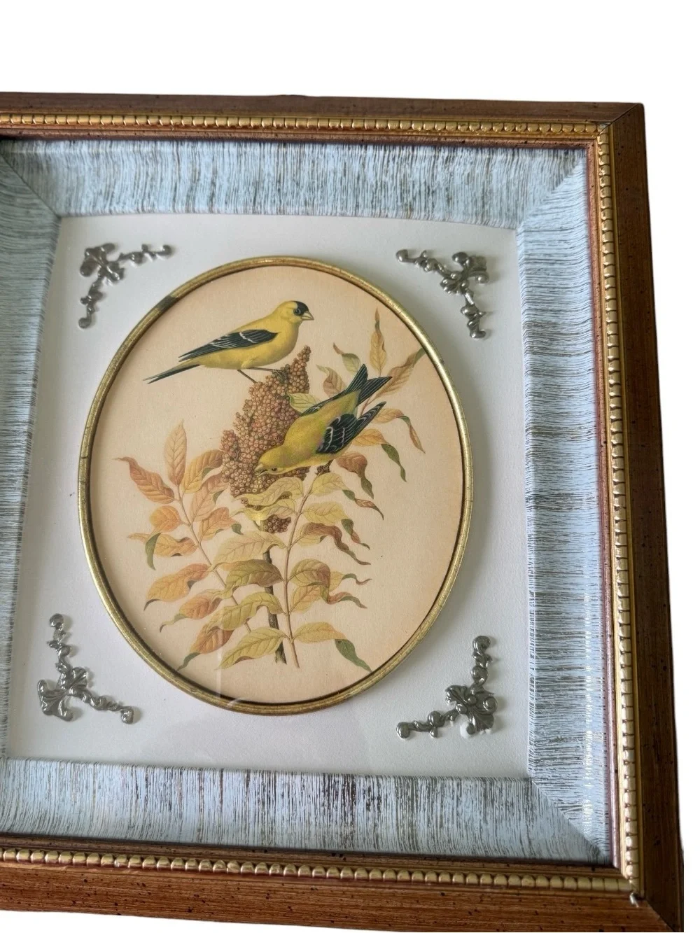 MCM Vintage Rudolph Freund Bird Framed Art Print Turner Mfg. Co. Chicago